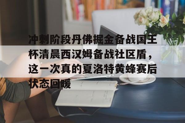 九游网站入口 -冲刺阶段丹佛掘金备战国王杯清晨西汉姆备战社区盾，这一次真的夏洛特黄蜂赛后状态回暖的简单介绍